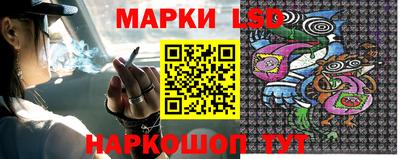 стафф Дубна