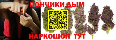 спиды Донской