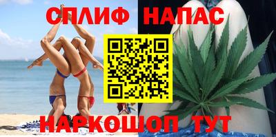 стафф Дубна