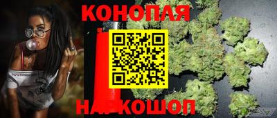 спиды Донской