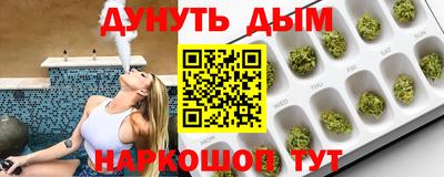 стафф Дубна