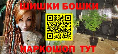 стафф Дубна